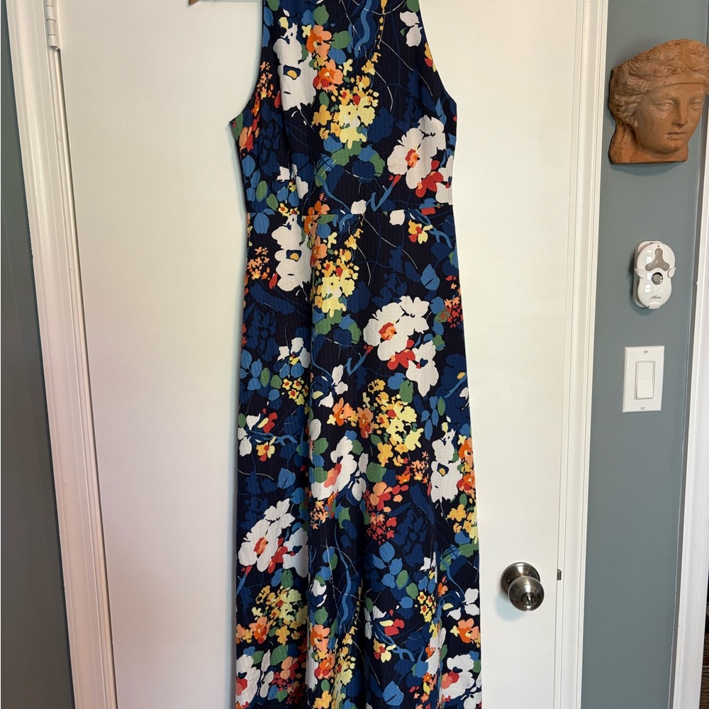 Banana Republic Blue and White Maxi Dress